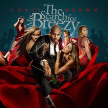 Chris Brown - The Search For Mrs Breezy
